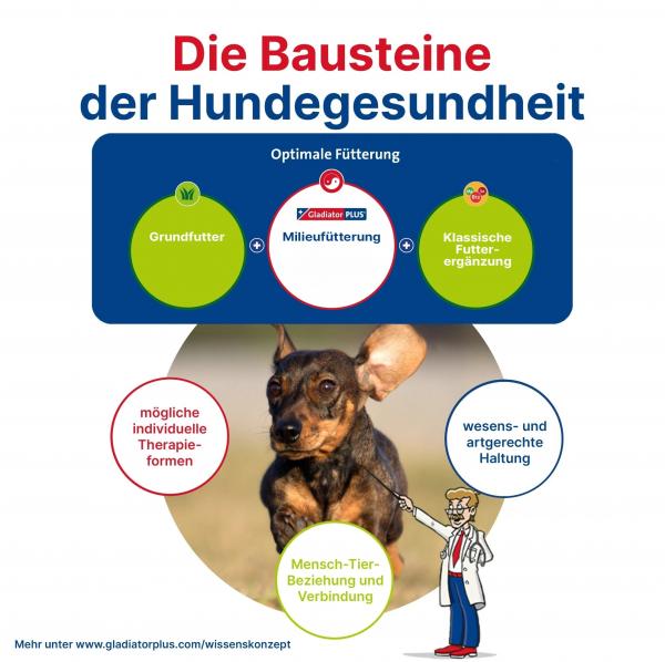 GladiatorPLUS Hund - die Milieufütterung